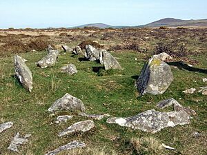 Bedd yr afanc, looking east-southeast - geograph.org.uk - 404497