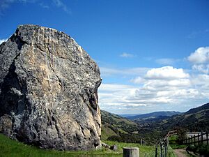 Big Rock Ridge Fire Road, Lucas Valley-Marinwood, CA 9 Eastview - panoramio
