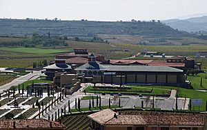 Briones - Museo del Vino