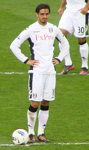 Bryan Ruiz Fulham
