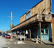 Burros resting by Oatman Theatre Bldg