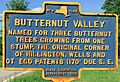 Butternut-Valley-named-for-three-butternut-trees-growing-from-one-stump-the-original-corner-of-the-Hillington-Wells-and-Otego-patents-1170-ft-due-SE