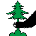 CHE Kölliken Flag