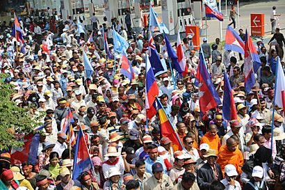 CNRP protesters raise flags.jpg