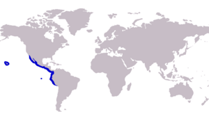 Caranx caballus distribution map.png