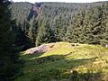 Carn Ban Chambered Cairn on Arran - geograph.org.uk - 807980