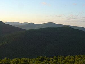 Catskills from Overlook Mountain
