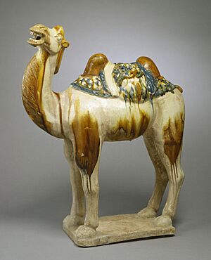 Chinese - Camel - Walters 492383 - Profile