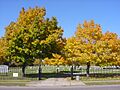 Concordia Cemetery1