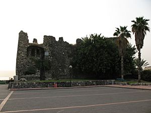 Crusader Citadel, Tiberias 1203 (511276825)