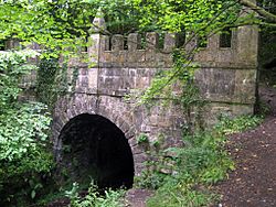 Daneway portal