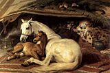 Edwin Landseer - The Arab Tent - WGA12440