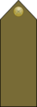EgyptianArmyInsignia-WarrantOfficer