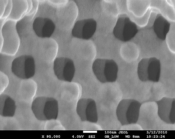 Entimus imperialis' photonic crystal