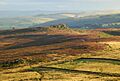 Evening light on Hathersage Moor - geograph.org.uk - 545141