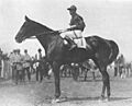 Exterminator1922