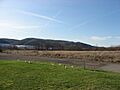 Fields at Legionville