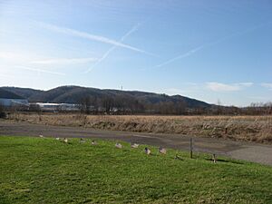 Fields at Legionville