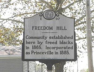 Freedomhill
