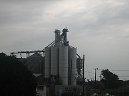 Grain elevator, Chilicothe, TX Picture 2196