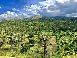 Gran Comore landscape