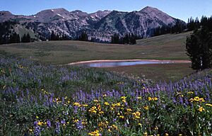 Granite Canyon South Fork
