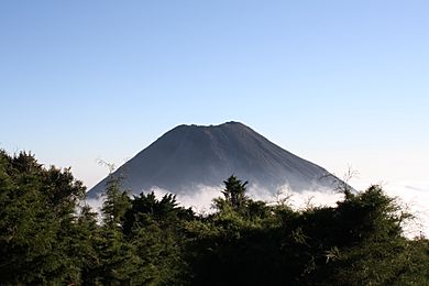Green Izalco Volcano