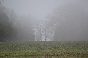 Hockley fields