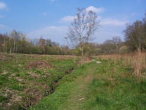 Hocombe mead - geograph.org.uk - 393229