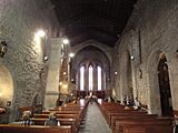 Iglesia de San Francisco - Nave Central (Pontevedra)