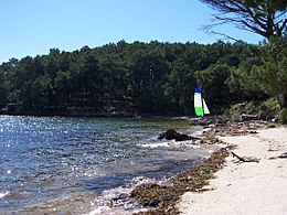 Isla de Cortegada