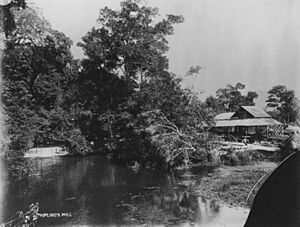 Kiplings Mill in Freshwater a suburb of Cairns Queensland circa 1890