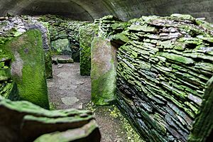 Knowe of Yarso, Neolithic chambered cairn, Rousay, Orkney
