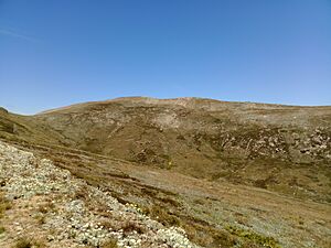 Kosciusko Mountain view from the track.jpg