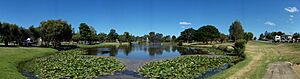 Lake Alford - panoramio