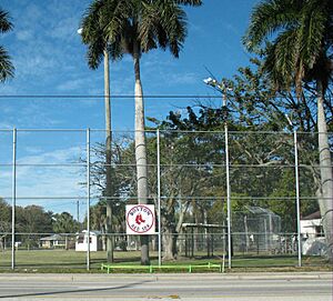 Little league field in Downtown Fort Myers, supported by the Boston Red Sox