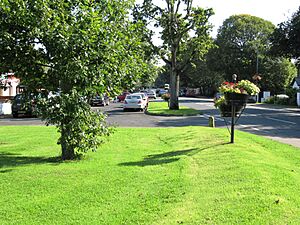 Main Street Eglinton 01