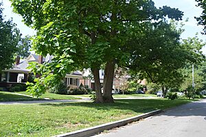 Mentelle Park houses