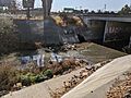 Miguelita or Lower Silver Creek at 101