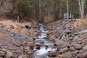 Mitchler Run looking upstream 1