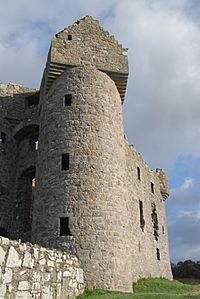 Monea Castle1