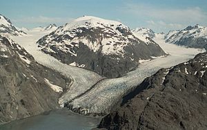 Morse Muir Glaciers 1994