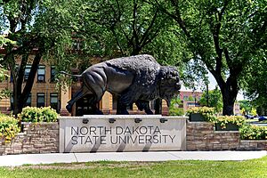 NDSU's sports teams are known as the North Dakota State Bison