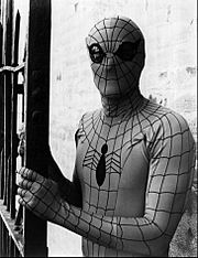 Nicholas Hammond Amazing Spider-Man 1977