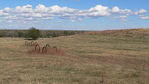 O'Fallon's Bluff 1