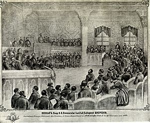 Opening of the Parliament, Cuza, 29 February 1860