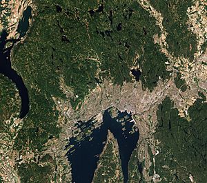 Oslo by Sentinel-2