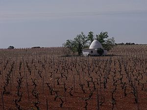 Paisaje de la Manchuela Albaceteña 03