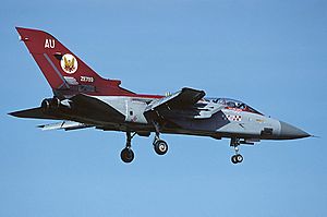 Panavia Tornado F3, UK - Air Force AN1149426