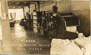 Picker at Postex Cotton Mills, Post, Texas